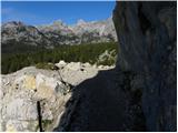 Uskovnica (Razpotje) - Planina pod Mišelj vrhom